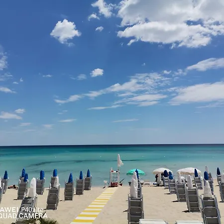 Daire Barneys Design